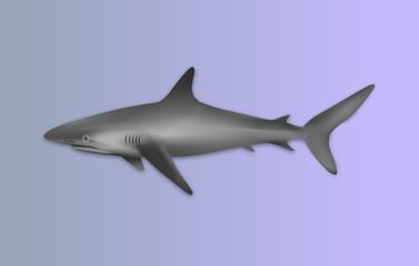 requin