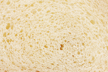 one slice of wheat bread closeup