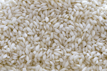 carnaroli rice