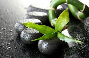 Fototapeta na wymiar Spa stones with drops and green bamboo on grey background