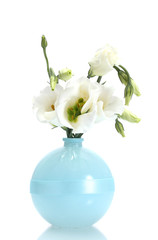 beautiful spring flowers in vase isolated on white