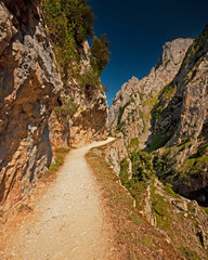 Landscape of high mountains at summer in Spain