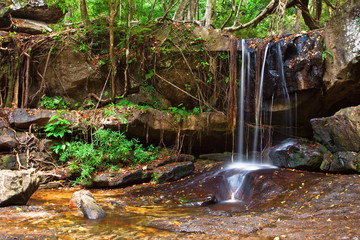 Fototapeta premium Waterfall in the rainforest