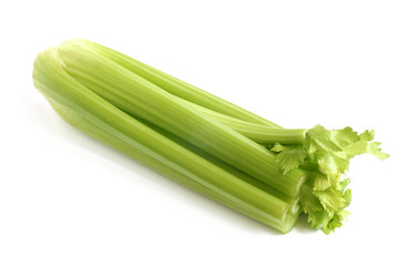 Fresh green celery