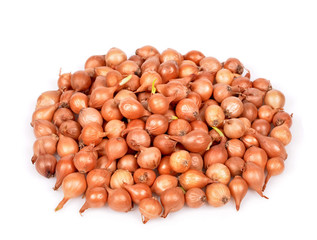 Shallot onions in a group isolated