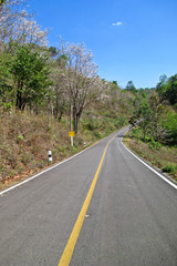 Fototapeta na wymiar Empty countryside road in Thailand