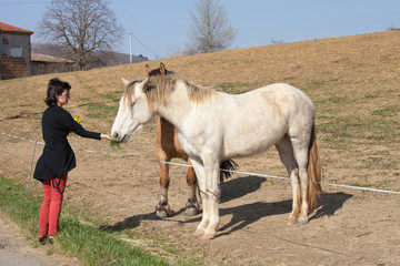 Fototapeta na wymiar Anne-Claire i konie