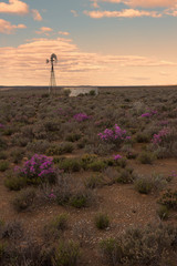 desert wind pump