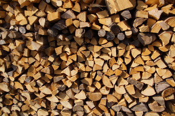 Aufgerichtetes Brennholz
