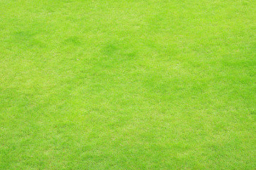 green grass