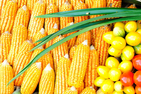 Fruits & Vegetables. Healthy