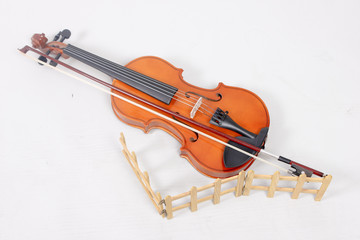 Violine draußen im freien Spielen