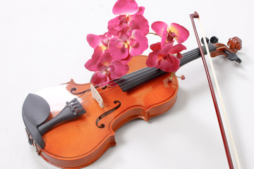 Fototapeta na wymiar Violinen Spiel mit Blumen