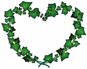 Fototapeta premium Cuore di edera