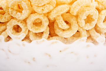Corn flakes with milk