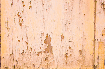 large grunge textures and backgrounds