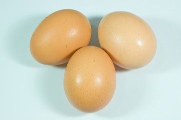 eggs