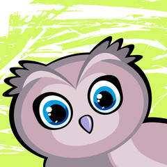 Cartoon funny owl