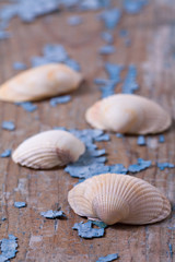 Shells