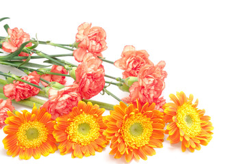 オレンジ色のガーベラとカーネーションの花束