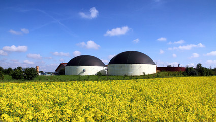 Biogasanlage und Rapsfeld - obrazy, fototapety, plakaty