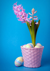 Easter composition with pink hyacinth and painted eggs