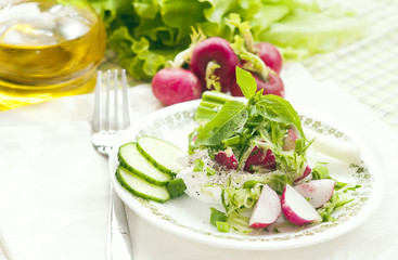 Fresh spring salad with cottage cheese