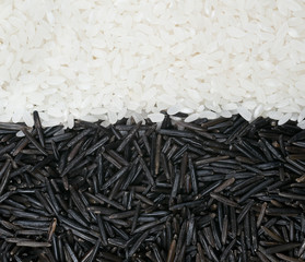 Wild and white rice background