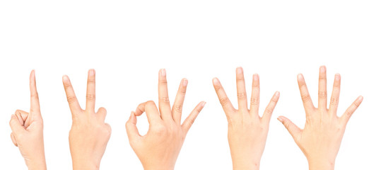 Collection of hands number symbol.