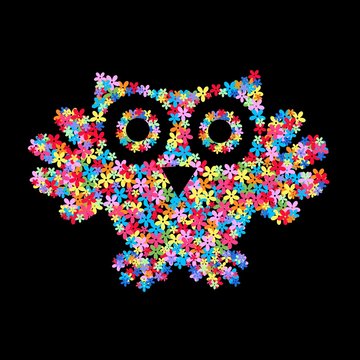 a owl of flowers