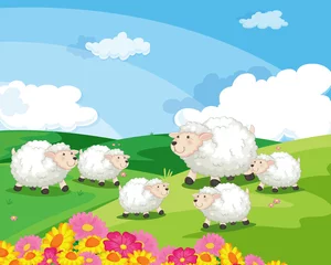Poster Ferme moutons dans un champ en nouvelle-zélande