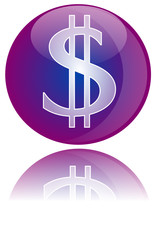 Glossy icon dollar sign