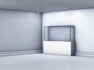 Empty glass showcase in the gallery