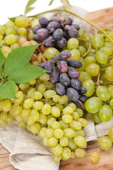 fresh grapes