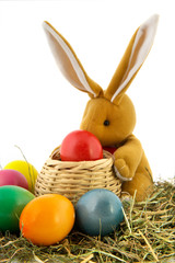Easter hare with colorful eggs