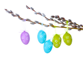 pussy-willow twigs with Easter eggs isolated on white