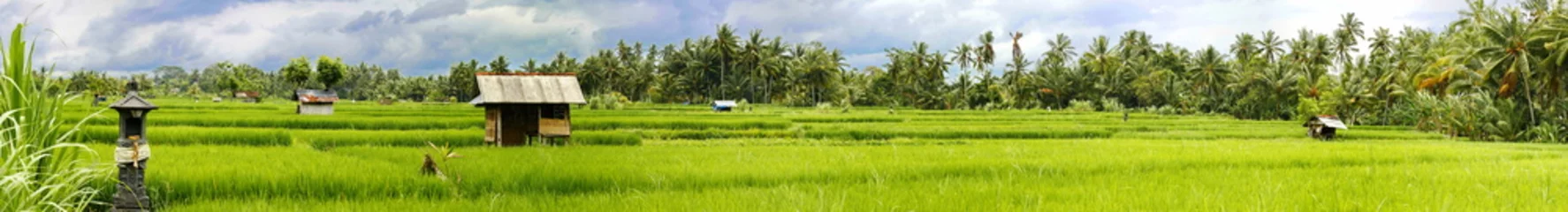 Foto auf Acrylglas Indonesien Reisfeld