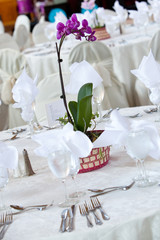 Orchid centerpiece on tables