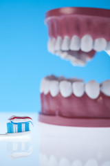 Teeth, Dental health care objects