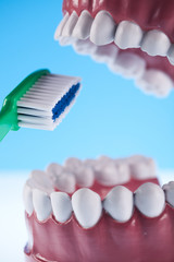 Teeth, Dental health care objects