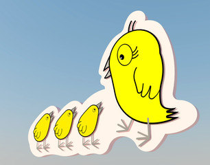 Yellow color of family chicken to isolate with clear background