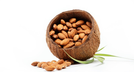 Almond nuts in the shell of the coconut.