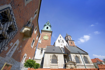 Wawel-Katedra na Wawelu-Kraków - obrazy, fototapety, plakaty