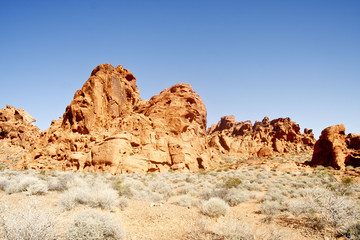 Fototapeta na wymiar Brush Srub Prowadzące do Red skalnych ścianach