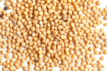 Mustard Seeds Studio Macro