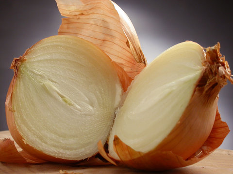 Allium cepa