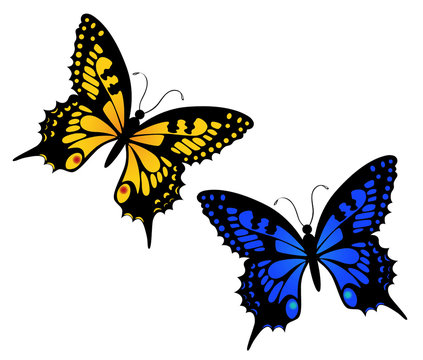 Papillons bleu et jaune