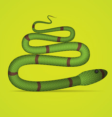 Green Vector Snake
