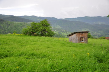 wooden hut on valley