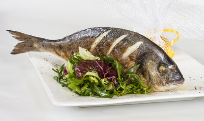 Dorada fish with salad on the white plate. Studio shot